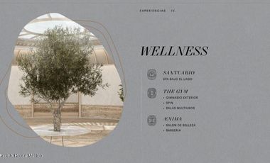 Venta Departamento en Lomas de Vista Hermosa con amenidades C#24-4565