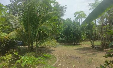 Pinakabaratong House and Lot in Kabankalan Negros Occidental