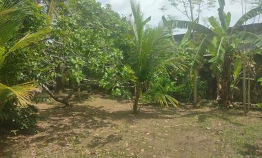 Pinakabaratong House and Lot in Kabankalan Negros Occidental