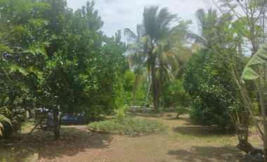 Pinakabaratong House and Lot in Kabankalan Negros Occidental