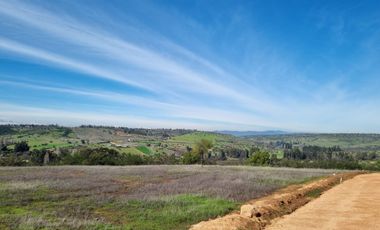 REMATAMOS LAS ULTIMAS PARCELAS A 2 HRS DE SANTIAGO