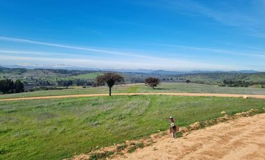 REMATAMOS LAS ULTIMAS PARCELAS A 2 HRS DE SANTIAGO