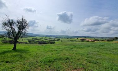 REMATAMOS LAS ULTIMAS PARCELAS A 2 HRS DE SANTIAGO