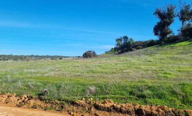 REMATAMOS LAS ULTIMAS PARCELAS A 2 HRS DE SANTIAGO