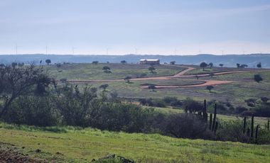 REMATAMOS LAS ULTIMAS PARCELAS A 2 HRS DE SANTIAGO