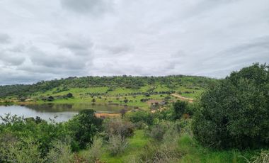 REMATAMOS LAS ULTIMAS PARCELAS A 2 HRS DE SANTIAGO