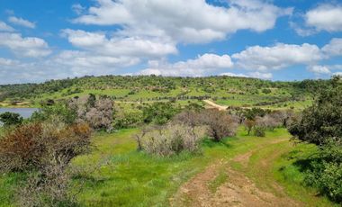 REMATAMOS LAS ULTIMAS PARCELAS A 2 HRS DE SANTIAGO