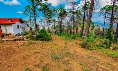 Terrenos en Mazamitla