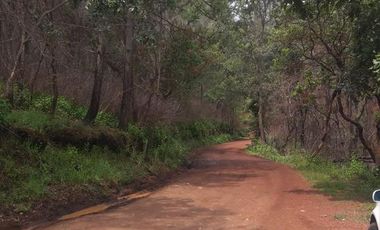 Terrenos en Mazamitla