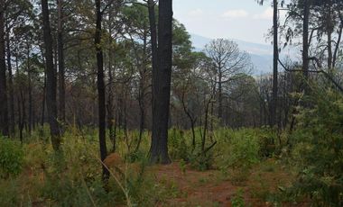 Terrenos en Mazamitla