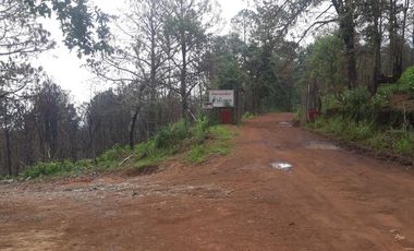 Terrenos en Mazamitla