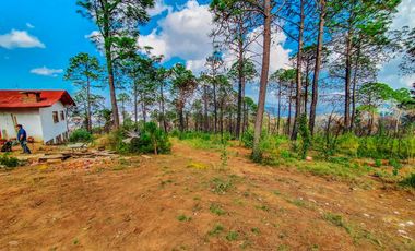 Terrenos en Mazamitla