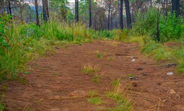 Terrenos en Mazamitla