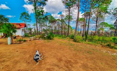 Terrenos en Mazamitla