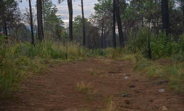 Terrenos en Mazamitla