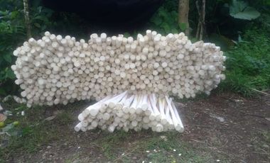 VENDO HACIENDA CON PRODUCCION DE PALMITO - PALMA - POTREROS