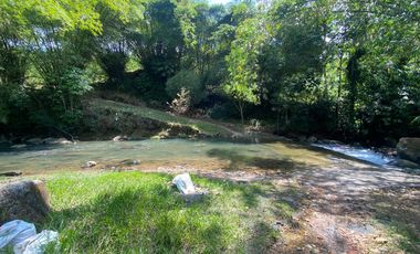 VENDO HACIENDA CON PRODUCCION DE PALMITO - PALMA - POTREROS