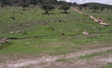 VENTA TERRENO SANTO TOMAS CHAUTLS