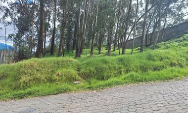 VENTA TERRENO INDUSTRIAL CONOCOTO 5000M2