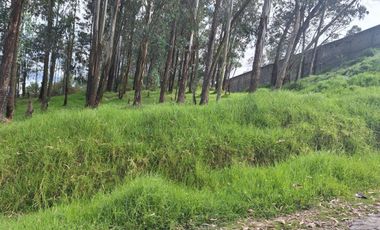 VENTA TERRENO INDUSTRIAL CONOCOTO 5000M2