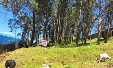 VENTA TERRENO INDUSTRIAL CONOCOTO 5000M2