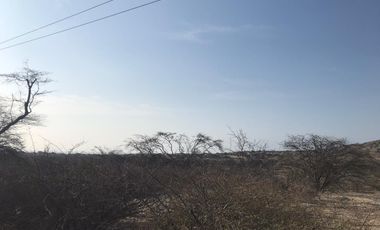 VENDO EXCELENTE OCASIÓN TERRENO AGRICOLA A/T 1.500,000 HECTAREAS EN SAN JUAN BAUTISTA DE CATACAOS EN EL DISTRITO DE CURA MORI  DEPARTAMENTO DE PIURA E
