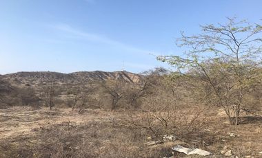 VENDO EXCELENTE OCASIÓN TERRENO AGRICOLA A/T 1.500,000 HECTAREAS EN SAN JUAN BAUTISTA DE CATACAOS EN EL DISTRITO DE CURA MORI  DEPARTAMENTO DE PIURA E