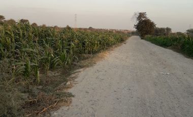 VENDO EXCELENTE OCASIÓN TERRENO AGRICOLA A/T 1.500,000 HECTAREAS EN SAN JUAN BAUTISTA DE CATACAOS EN EL DISTRITO DE CURA MORI  DEPARTAMENTO DE PIURA E