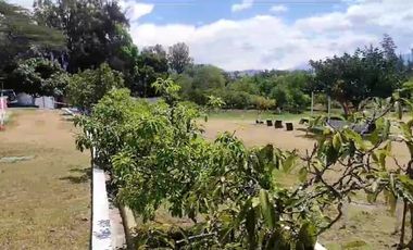 VENTA TERRENO TUMBACO