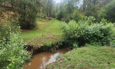 Terrenos en el Bosque de Tapalpa