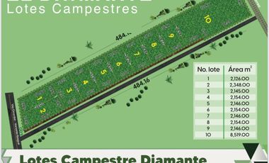 EXCELENTES LOTES PARA CONSTRUIR