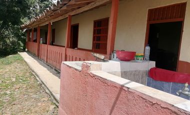 Venta Finca Agrícola y/o Ganado Angelópolis Antioquia
