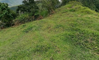 Venta Finca Agrícola y/o Ganado Angelópolis Antioquia
