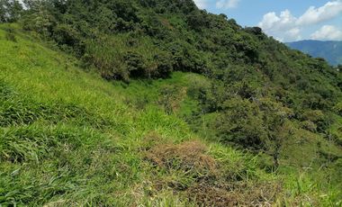 Venta Finca Agrícola y/o Ganado Angelópolis Antioquia
