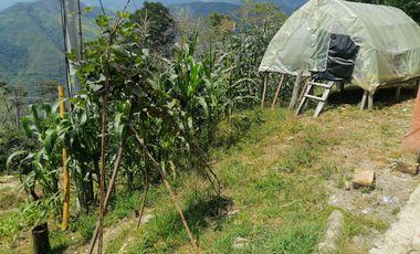 Venta Finca Agrícola y/o Ganado Angelópolis Antioquia