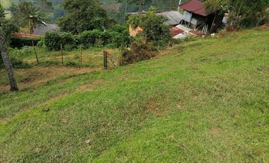 Venta Finca Agrícola y/o Ganado Angelópolis Antioquia