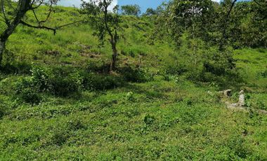 Venta Finca Agrícola y/o Ganado Angelópolis Antioquia