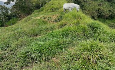 Venta Finca Agrícola y/o Ganado Angelópolis Antioquia
