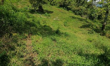 Venta Finca Agrícola y/o Ganado Angelópolis Antioquia
