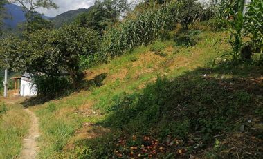 Venta Finca Agrícola y/o Ganado Angelópolis Antioquia