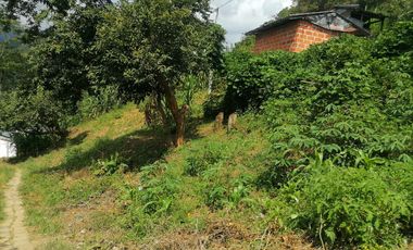 Venta Finca Agrícola y/o Ganado Angelópolis Antioquia