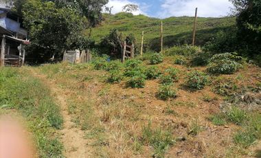 Venta Finca Agrícola y/o Ganado Angelópolis Antioquia