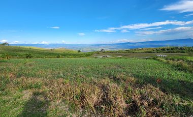 SE VENDE HERMOSÍSIMO TERRENO EN ESQUINA EN EL EXCLUSIVO CONDOMINIO YANASHPA VILLAGE – 1,540m2 ZONA FINCA - TARAPOTO - SAN MARTÍN