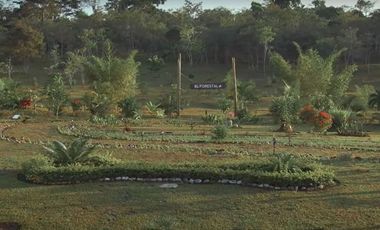 SE VENDE HERMOSÍSIMO TERRENO EN ESQUINA EN EL EXCLUSIVO CONDOMINIO YANASHPA VILLAGE – 1,540m2 ZONA FINCA - TARAPOTO - SAN MARTÍN