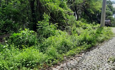 TERRENO EN VENTA, RANCHO SAN DIEGO, IXTAPAN DE LA SAL