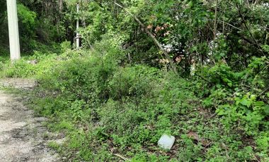 TERRENO EN VENTA, RANCHO SAN DIEGO, IXTAPAN DE LA SAL