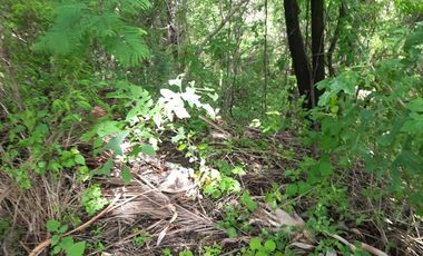 TERRENO EN VENTA, RANCHO SAN DIEGO, IXTAPAN DE LA SAL