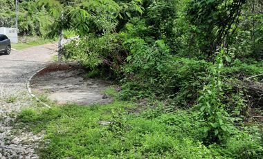 TERRENO EN VENTA, RANCHO SAN DIEGO, IXTAPAN DE LA SAL