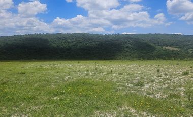 VENTA TERRENO COLONIA GUADALUPE VICTORIA