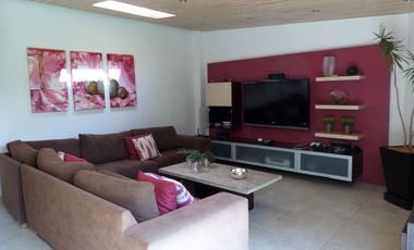 Fraccionamiento Pedregal de San Francisco, Coyoacan.